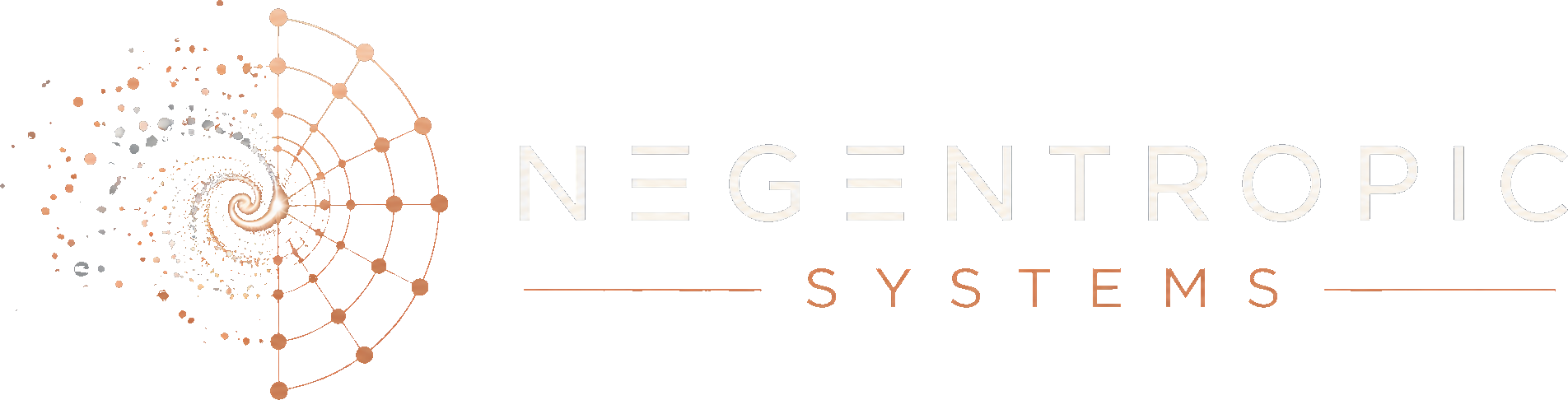 Negentropic Systems